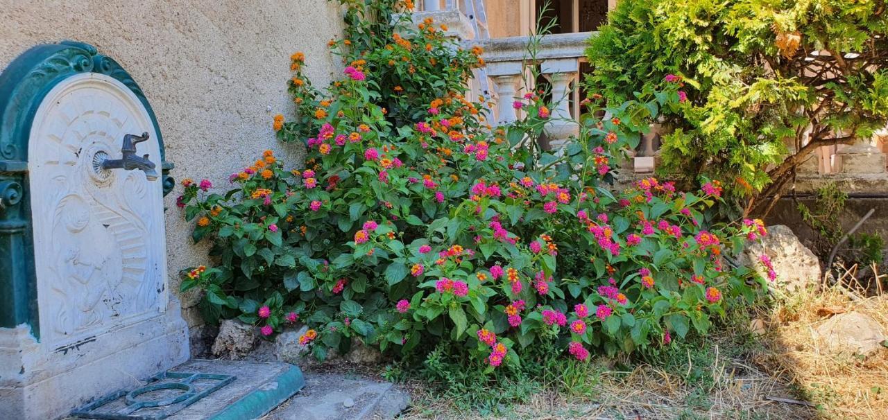 La Casa De Margarita Y Sisco, Villa Avec Piscine 카르카손 외부 사진